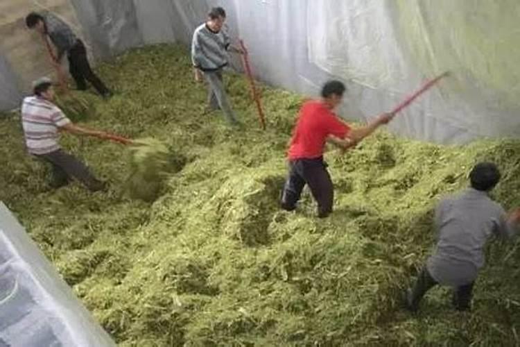 为什么草木灰是一种好钾肥？在施用时要注意哪些问题？