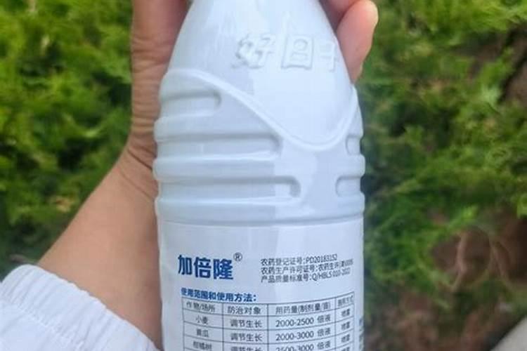 硕丰481芸苔素内酯多少钱一瓶？