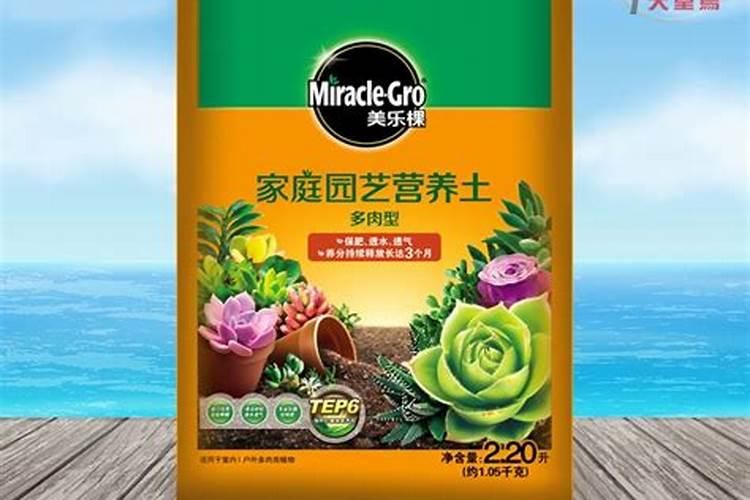盆栽多肉植物施什么肥 该如何施肥