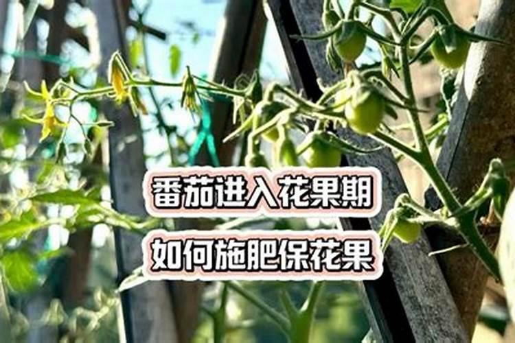 细胞因子都是可溶性蛋白吗
