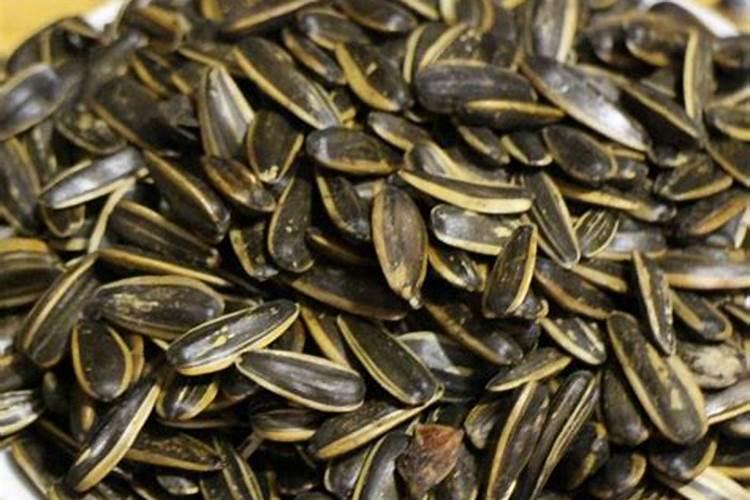 瓜子壳可以当肥料放花盆里吗