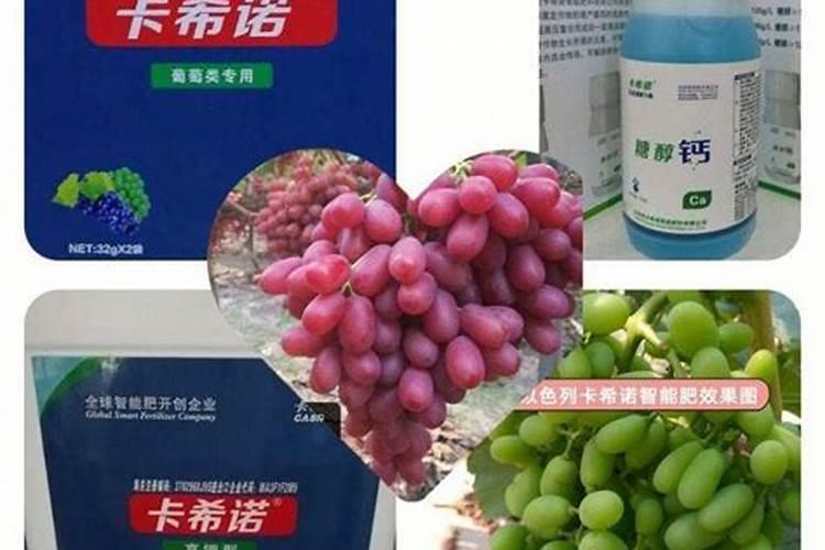 白水晶葡萄什么时候,施高钾肥最好