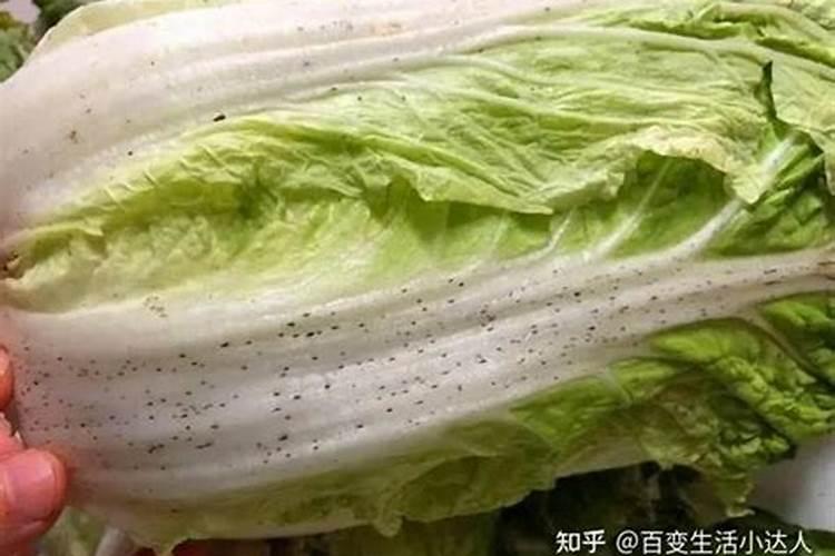 大白菜用氮肥还是钾肥好啊？