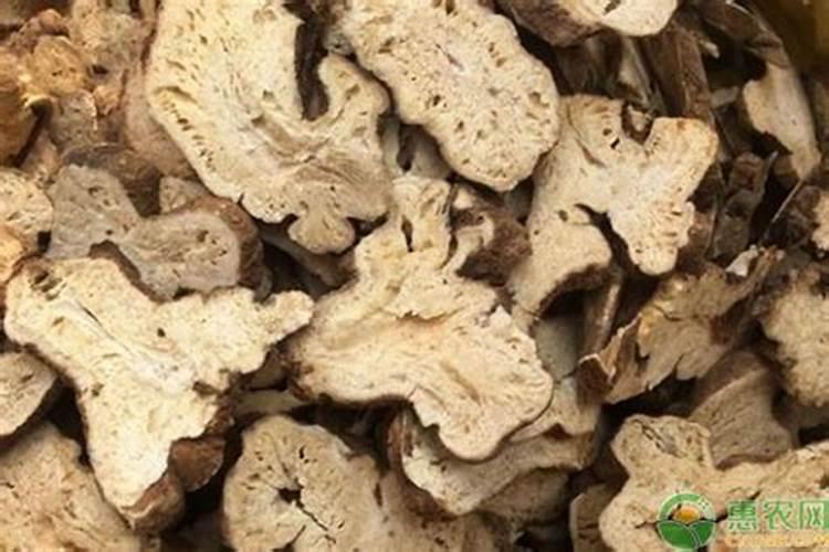 种白术用什么肥料最好