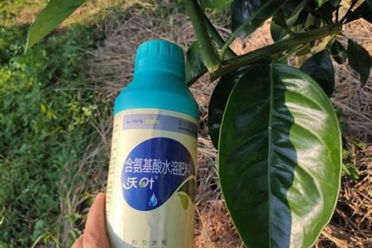 怎么让果子快速上色,用什么办法效果好