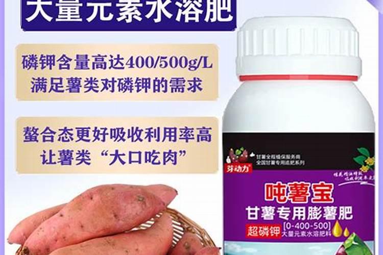 寿光市诺尔农化有限公司怎么样？