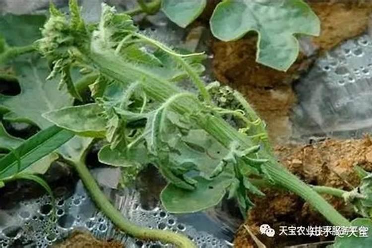 专家朋友们给看一下
