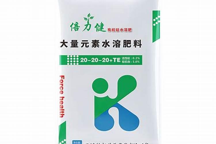 观叶植物用什么肥最好 如何施肥让叶子更油亮
