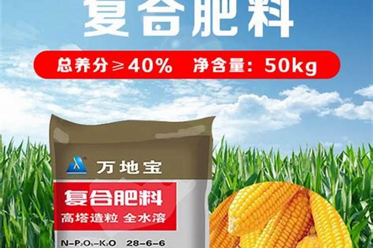 种玉米到底是复合肥好还是控释肥好？