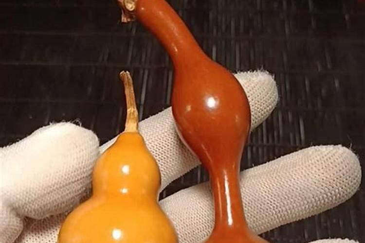 西葫芦浇水的正确方法