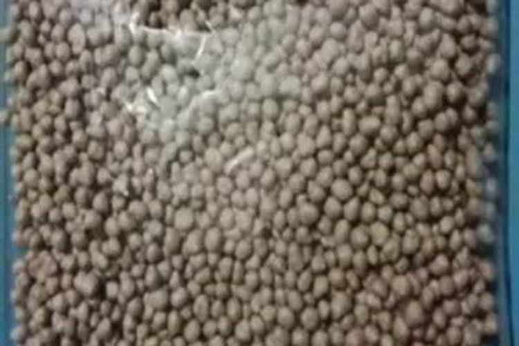 多肉植物用什么肥料比较好