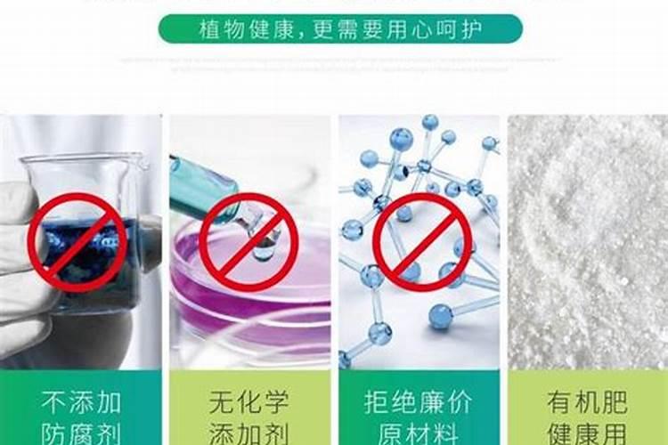 黄瓜追肥用什么肥料好