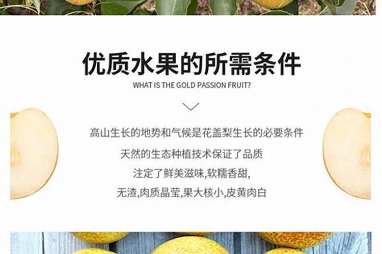 我家的晚秋黄梨甜度不够怎么办