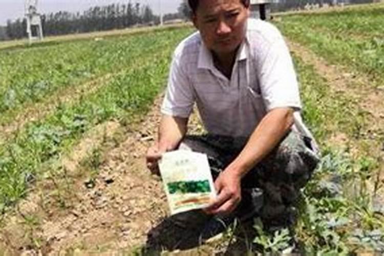 二铵是什么？