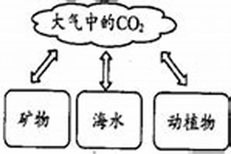 香瓜为什么会烂 是这个原因
