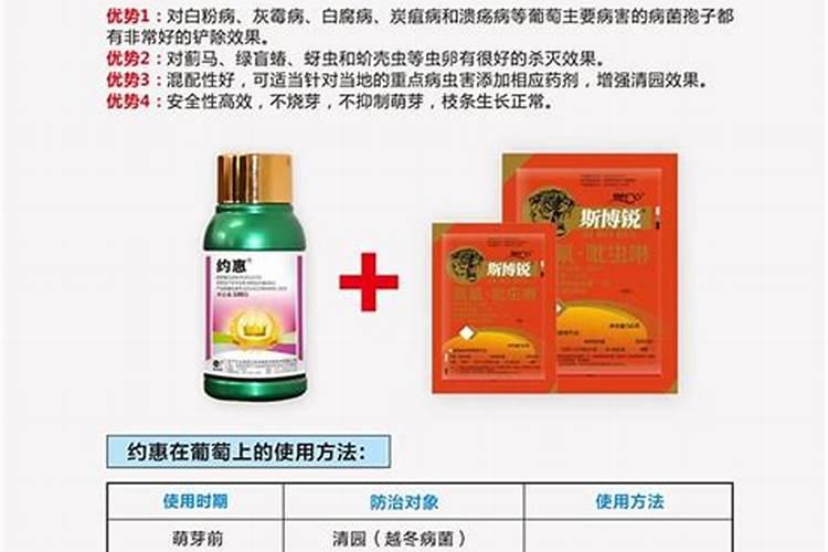 请问老师煤污病如何防治？