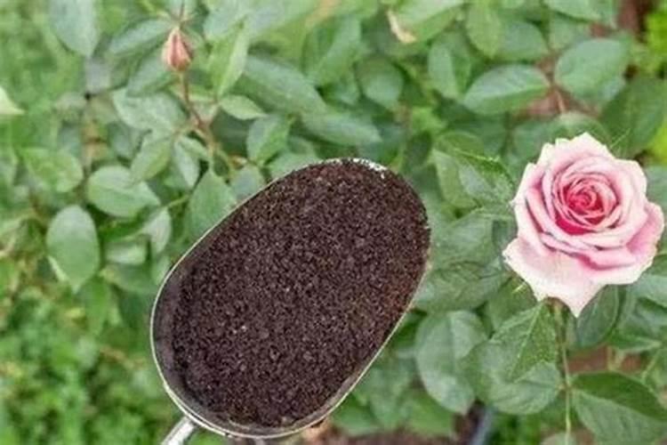 什么可代替化肥