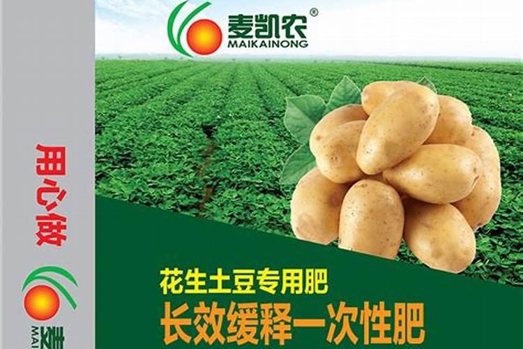 我的黄瓜秧硼肥施多了,应该怎么办叶子黄边