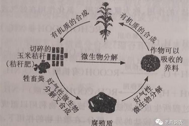 有机肥制作方法