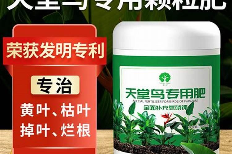 天堂鸟专用肥可以用到别的花里吗？