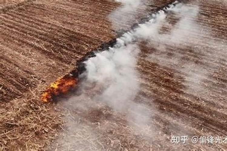 秸秆禁烧秋收农忙,共同守护鸠山“蓝”