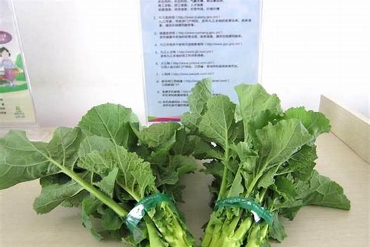 浙江省土壤地质环境正效益评价