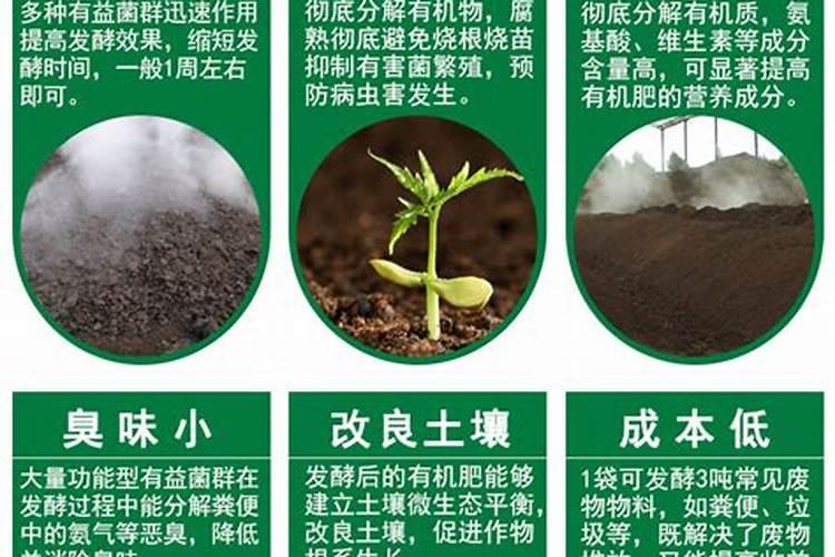兔粪如何发酵做有机肥