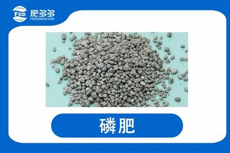 钙镁磷肥的使用技巧是什么？