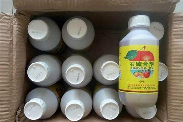 碗豆怕重茬种直吗我想连续种几年请问专家可以吧？