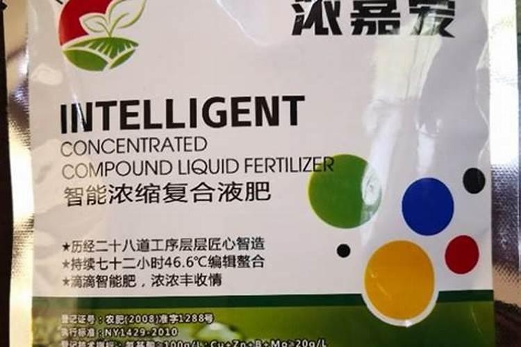 枸杞种子怎么种植