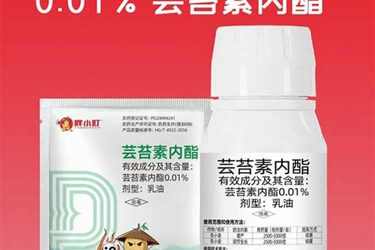黄瓜靶斑病用什么药？