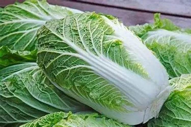 白菜追肥多久追一次 白菜多长时间追肥一次