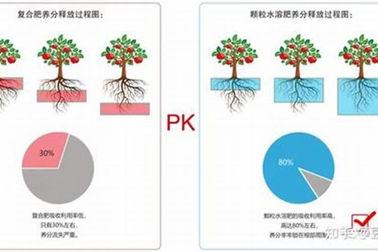 钾肥的肥效是多长时间