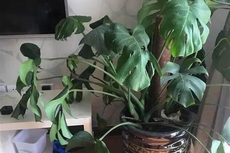 河南灌溉集团有哪些