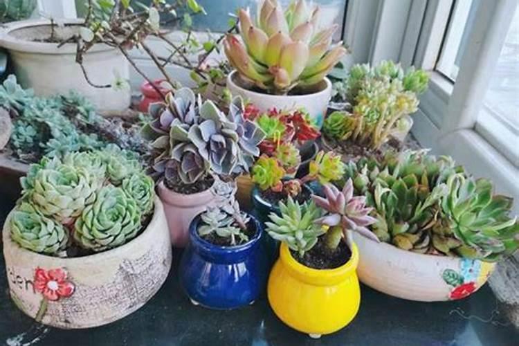 水溶肥兑水了可以放几天