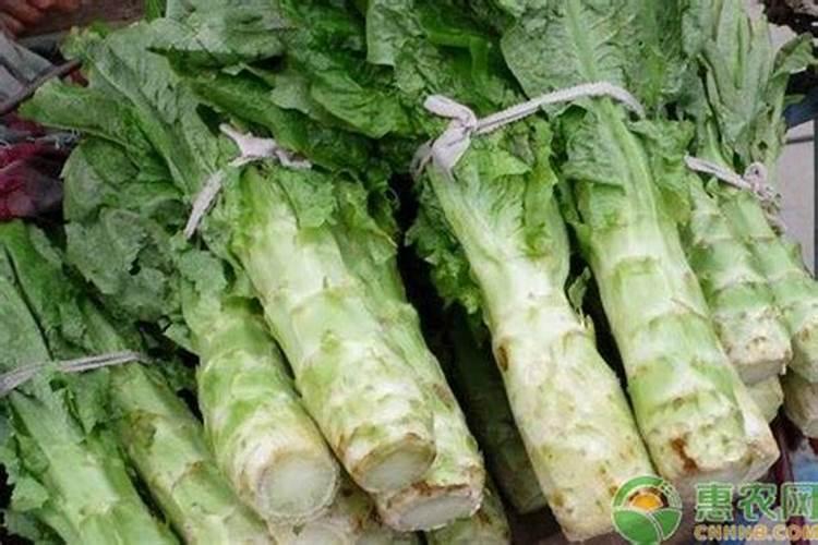 肥料越上越多,地瓜为啥光长秧子不结薯？原因出在哪里？