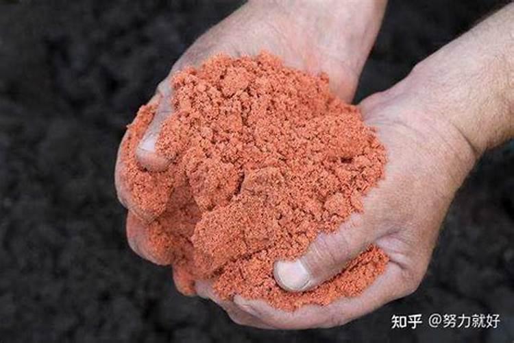 没有水的情况下细菌能生存吗？