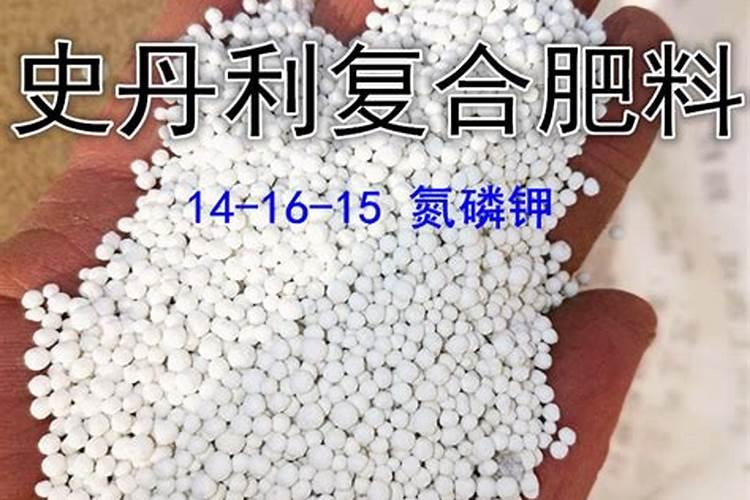 给大树施肥的正确方法