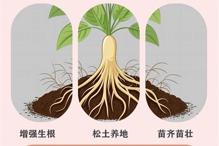 神农做了什么贡献呢