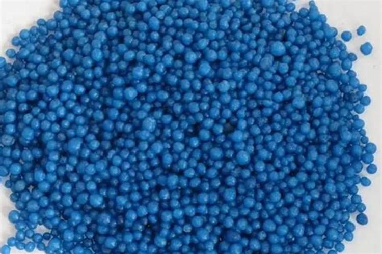 什么时候玉米能喷食用醋？