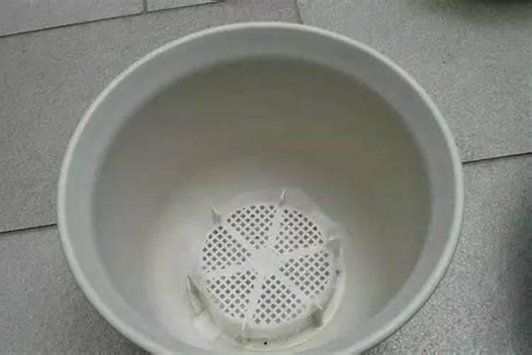 柚子变味是什么味道？