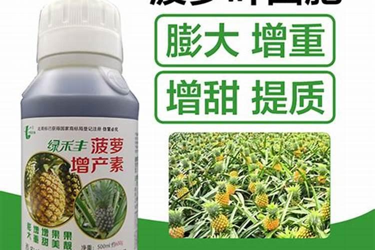 菠萝施什么肥最好