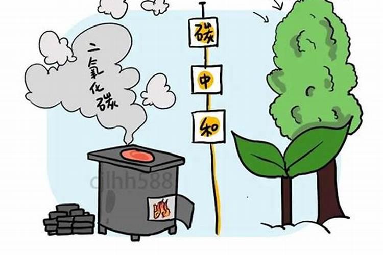 什么东西可以代替植物的肥料