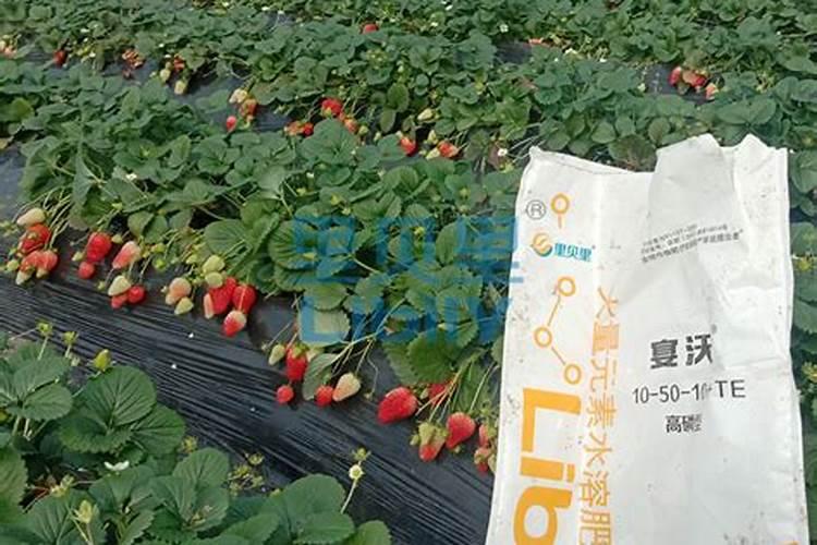 水溶肥的前十名水溶肥厂家有那些水溶肥的前十名