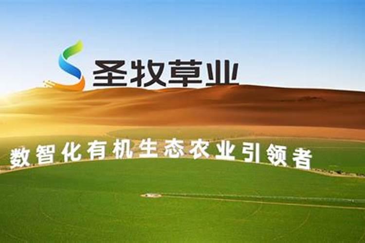 木醋液厂家
