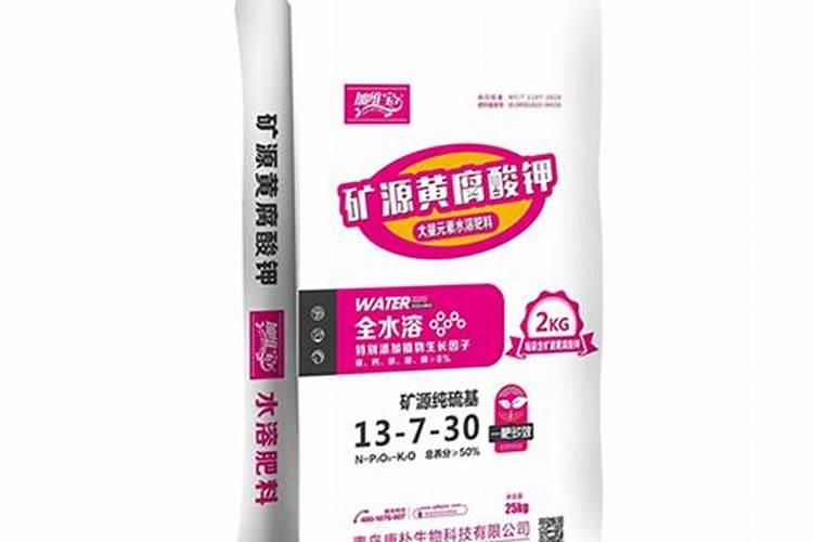 11月中旬栽桃苗多长时间生根