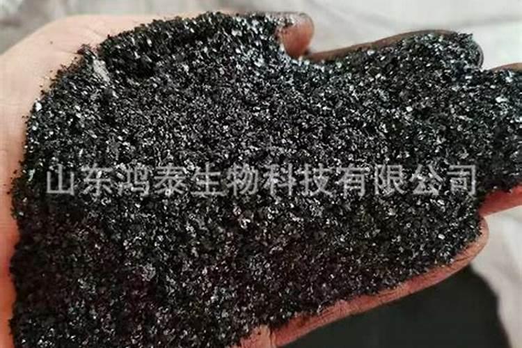 内蒙古有哪些大企业生产加工腐植酸？