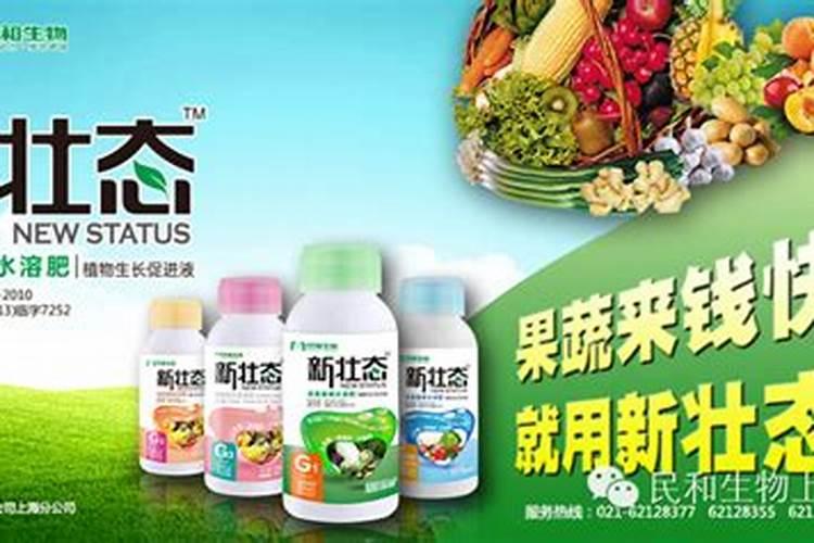 有没有小发明之类的作品,要附加做法的,金点子也可以的