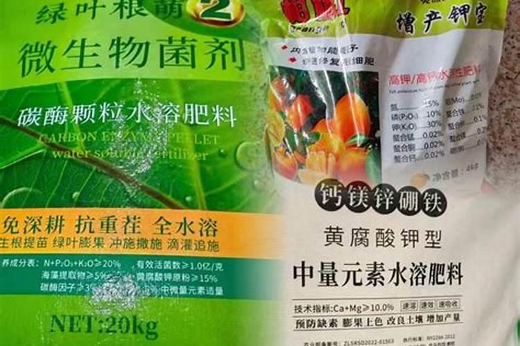 盆栽观叶植物怎样施叶面肥？