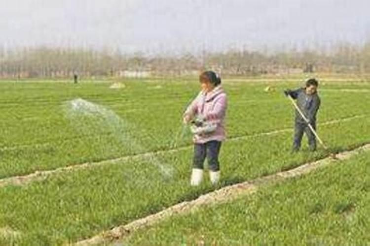 氮肥利用率计算方法